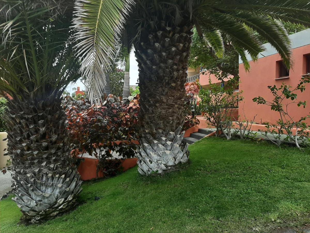 Aparthotel El Cerrito Playa Cancajos.- BreNa Baja  Esterno foto