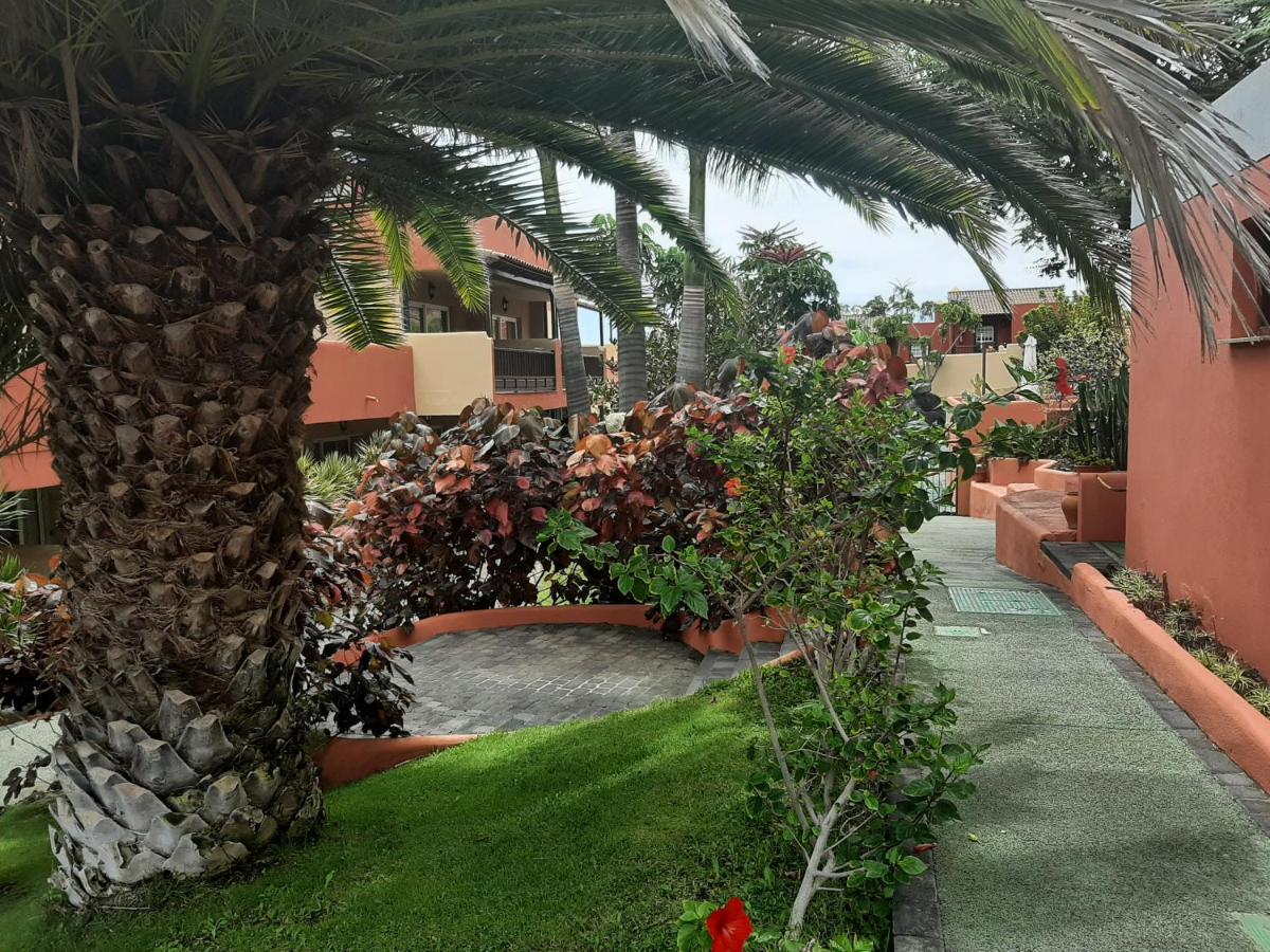 Aparthotel El Cerrito Playa Cancajos.- BreNa Baja  Esterno foto